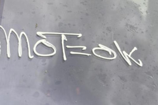 Baguette de porte avant droite CITROEN XSARA PICASSO