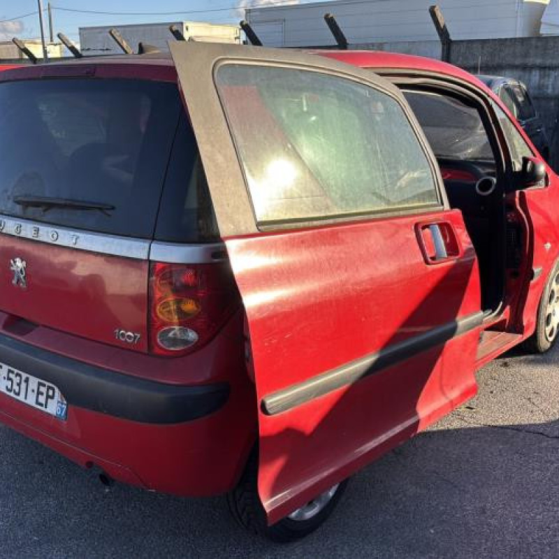 Pare boue arriere droit PEUGEOT 1007 Photo n°7