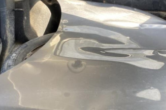 Pare boue arriere gauche NISSAN QASHQAI 1