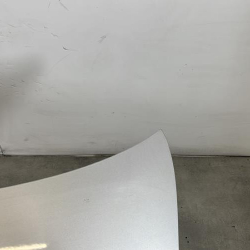 Malle/Hayon arriere BMW SERIE 1 E88 Photo n°3