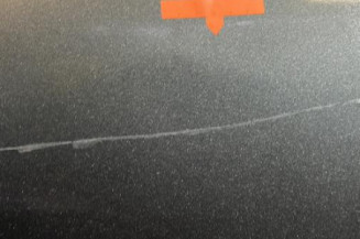 Porte arriere droit PEUGEOT 207