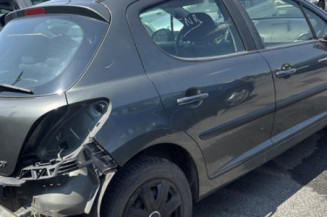 Porte arriere droit PEUGEOT 207