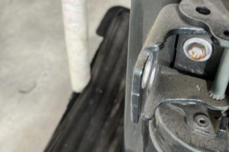 Porte arriere gauche PEUGEOT 207