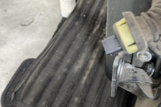 Porte arriere gauche PEUGEOT 207