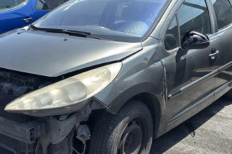 Porte arriere gauche PEUGEOT 207