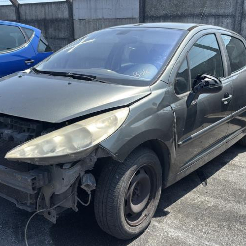 Porte arriere gauche PEUGEOT 207 Photo n°6