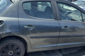 Porte arriere gauche PEUGEOT 207