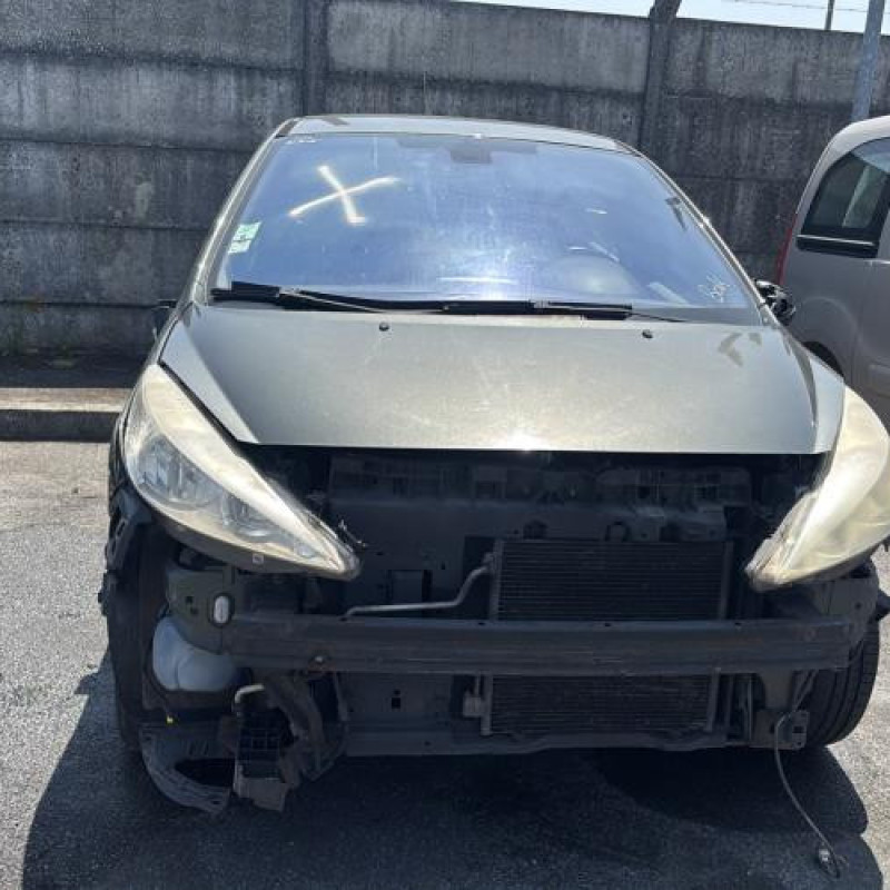 Porte arriere gauche PEUGEOT 207 Photo n°13