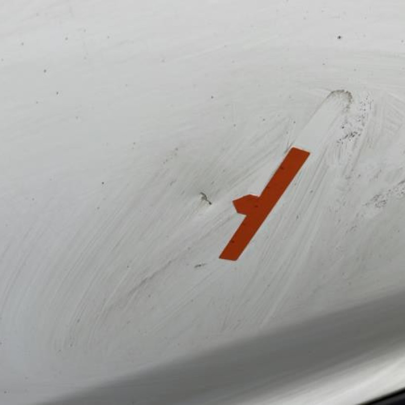 Porte avant droit DACIA LOGAN MCV 2 Photo n°4