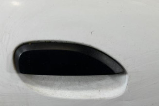 Porte avant droit DACIA LOGAN MCV 2