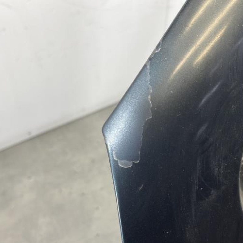 Porte avant gauche VOLKSWAGEN GOLF 4 Photo n°5
