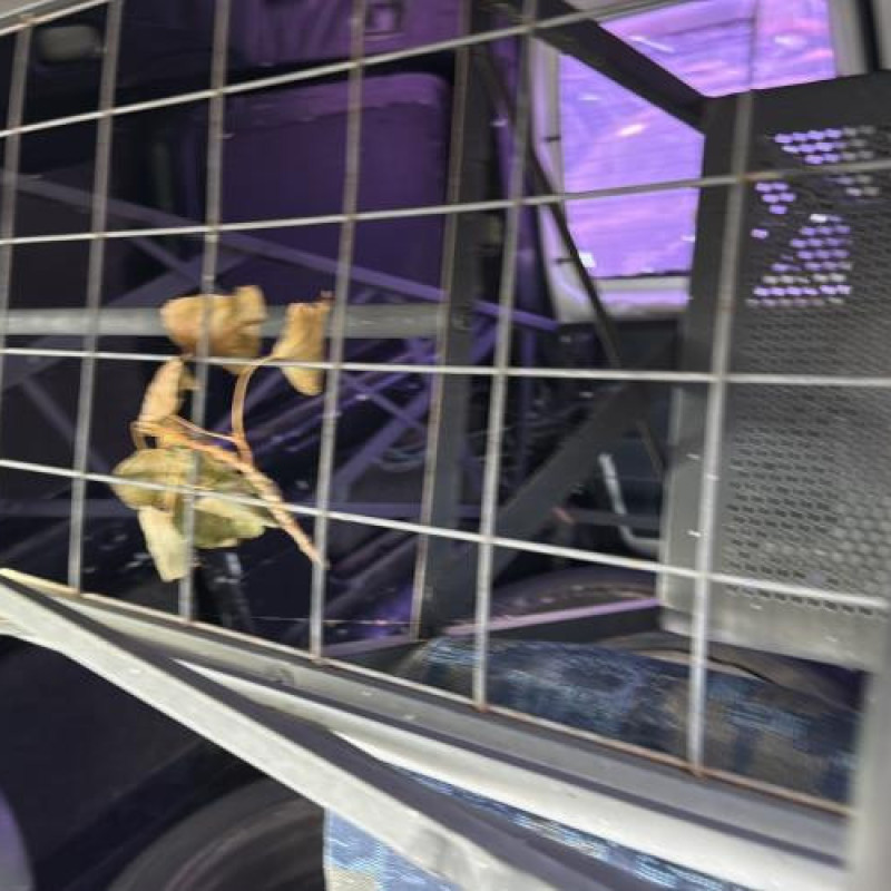 Pedale d'embrayage PEUGEOT PARTNER 1 Photo n°17