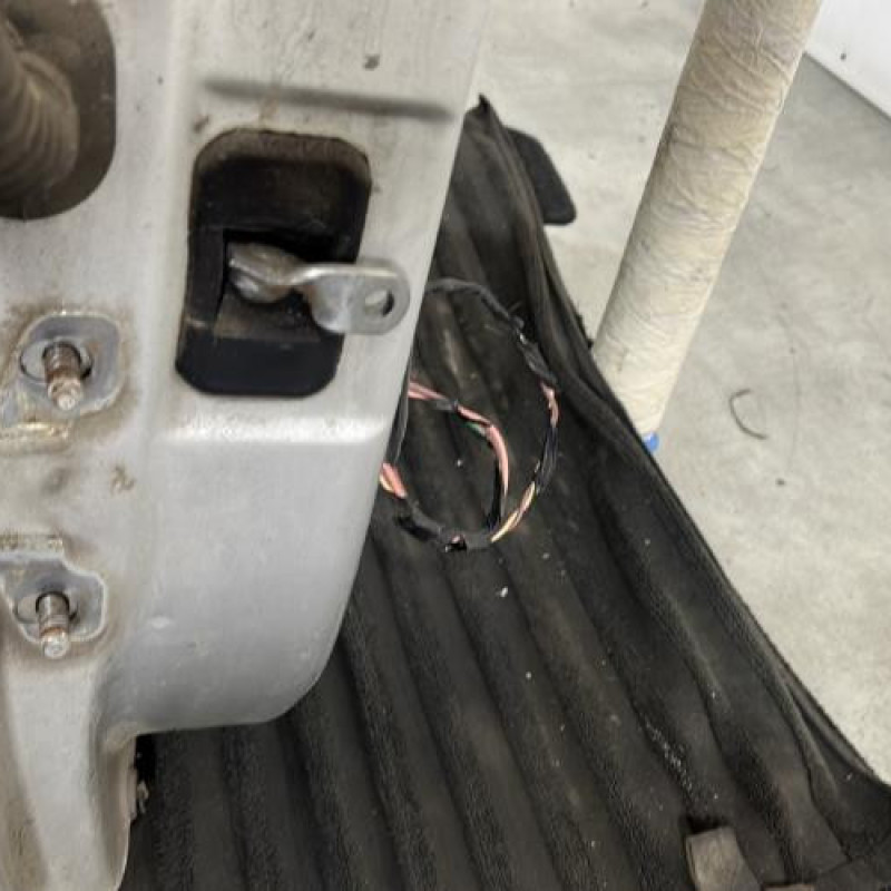 Porte arriere droit DACIA DUSTER 1 Photo n°3