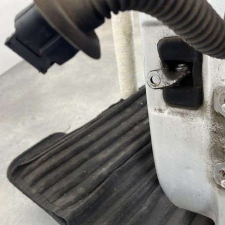Porte arriere gauche DACIA DUSTER 1