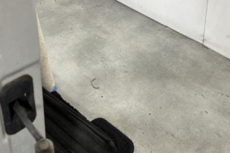 Porte avant droit DACIA DUSTER 1