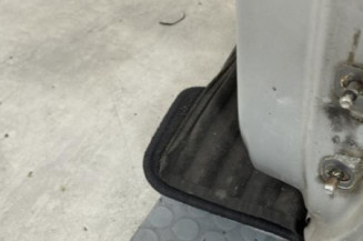 Porte avant gauche DACIA DUSTER 1