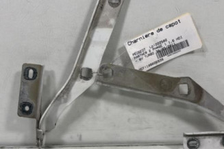 Charniere de capot PEUGEOT PARTNER 2 Photo n°1