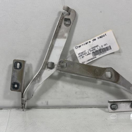 Charniere de capot PEUGEOT PARTNER 2 Photo n°1