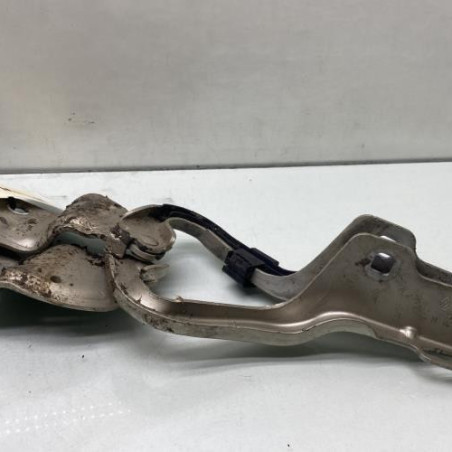 Charniere de capot RENAULT CLIO 3