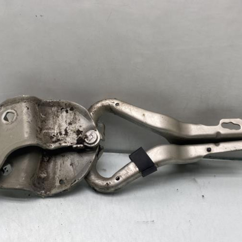 Charniere de capot RENAULT CLIO 3 Photo n°3