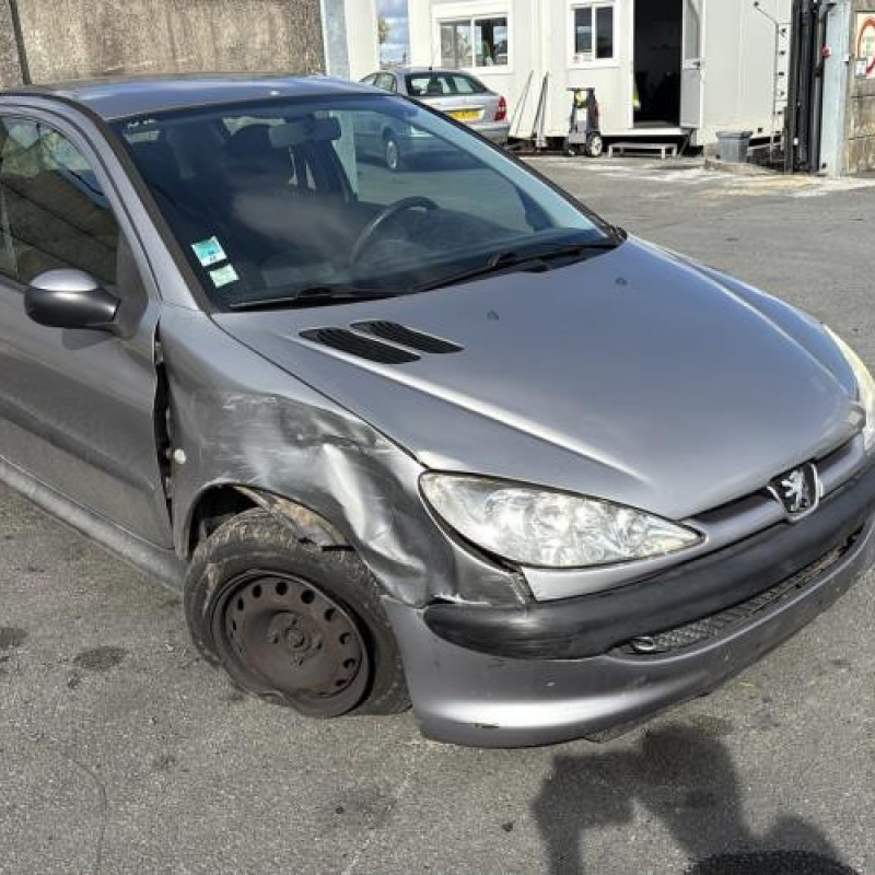 Calandre PEUGEOT 206 Photo n°6