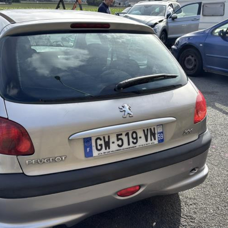 Calandre PEUGEOT 206 Photo n°9