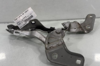 Charniere de capot RENAULT CLIO 3 Photo n°1