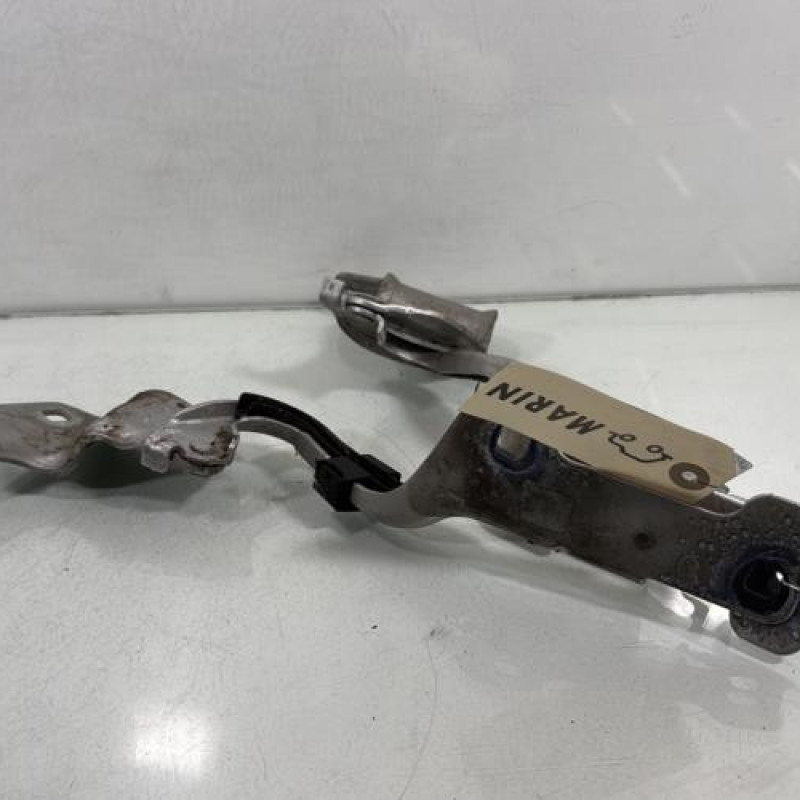 Charniere de capot RENAULT CLIO 3 Photo n°4