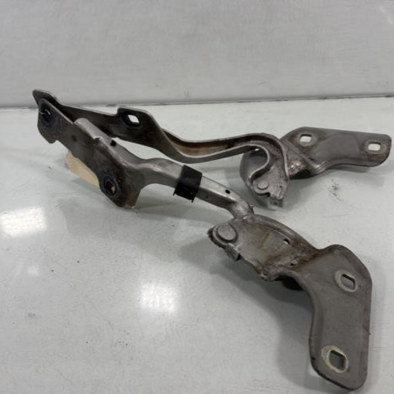 Charniere de capot RENAULT CLIO 3 Photo n°5