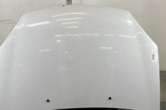 Capot RENAULT CLIO 2 Photo n°1