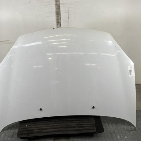 Capot RENAULT CLIO 2 Photo n°1