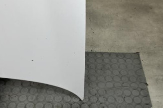 Capot RENAULT CLIO 2