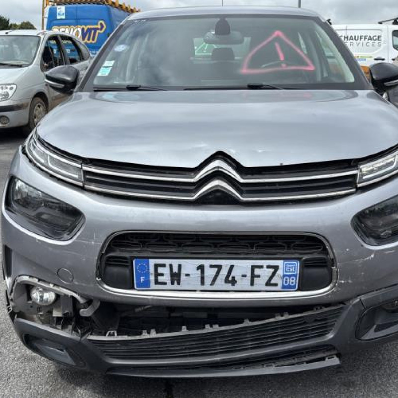 Porte arriere droit CITROEN C4 CACTUS Photo n°10