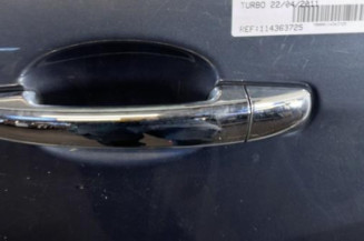 Porte arriere gauche CITROEN C3 2