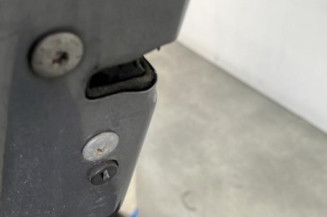 Porte arriere gauche CITROEN C3 2