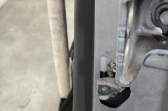 Porte arriere gauche CITROEN C3 2