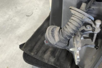 Porte arriere gauche CITROEN C3 2