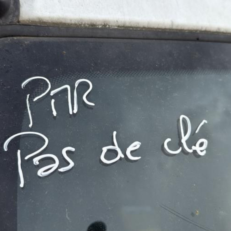 Porte avant droit RENAULT KANGOO 1 Photo n°15