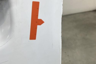 Porte avant gauche RENAULT KANGOO 1