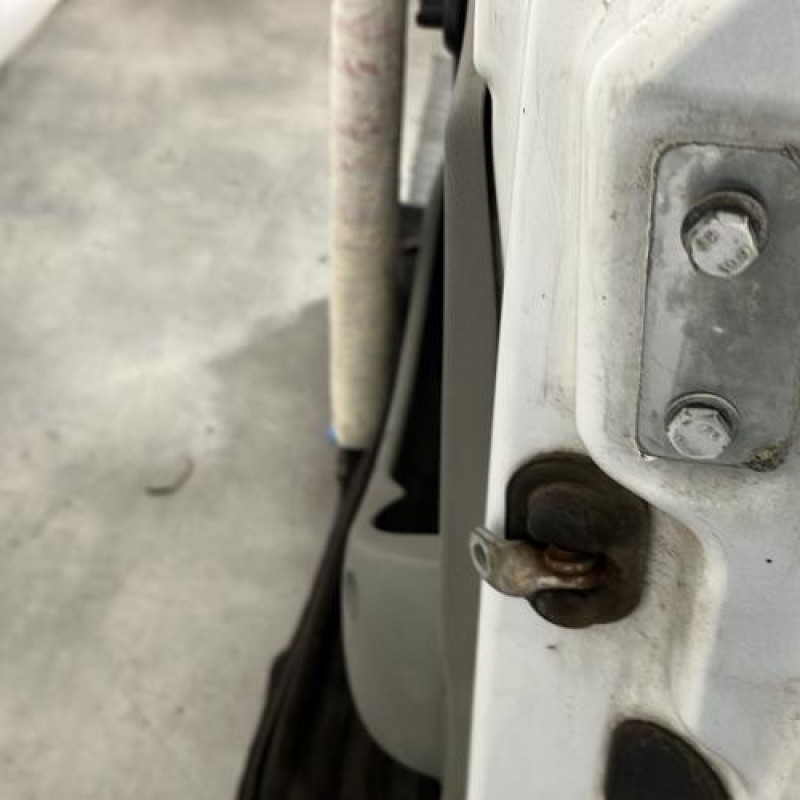 Porte avant gauche RENAULT KANGOO 1 Photo n°8