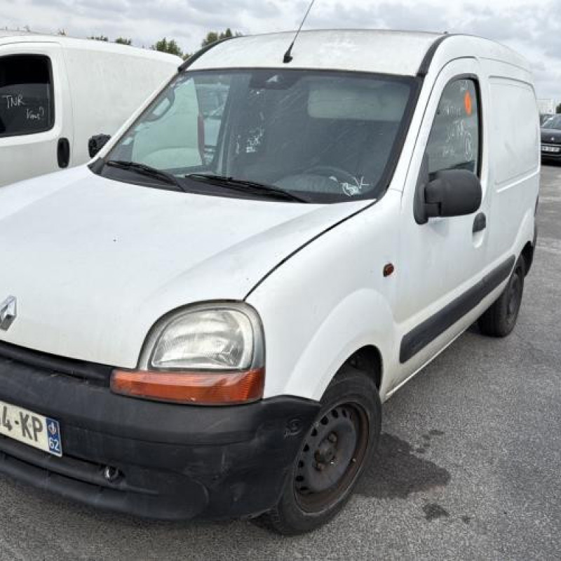 Porte avant gauche RENAULT KANGOO 1 Photo n°11