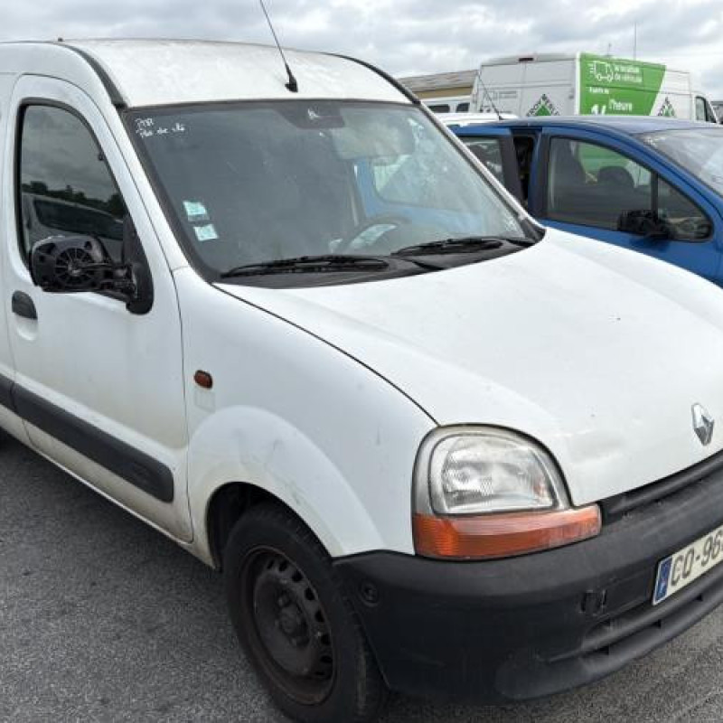 Porte avant gauche RENAULT KANGOO 1 Photo n°12