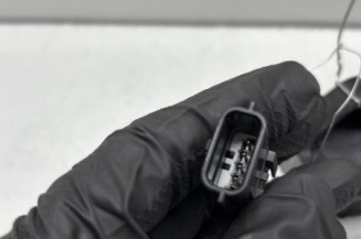 Poignee porte avant gauche RENAULT SCENIC 3