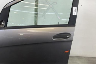 Porte avant gauche MERCEDES CLASSE A 169 Photo n°1