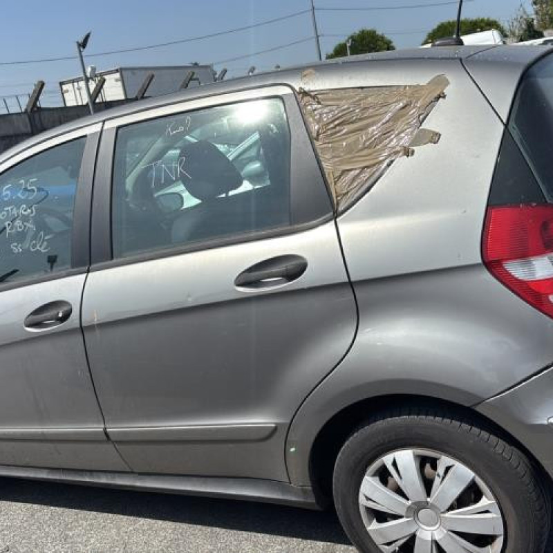 Porte avant gauche MERCEDES CLASSE A 169 Photo n°13