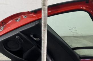 Porte arriere droit RENAULT CLIO 3
