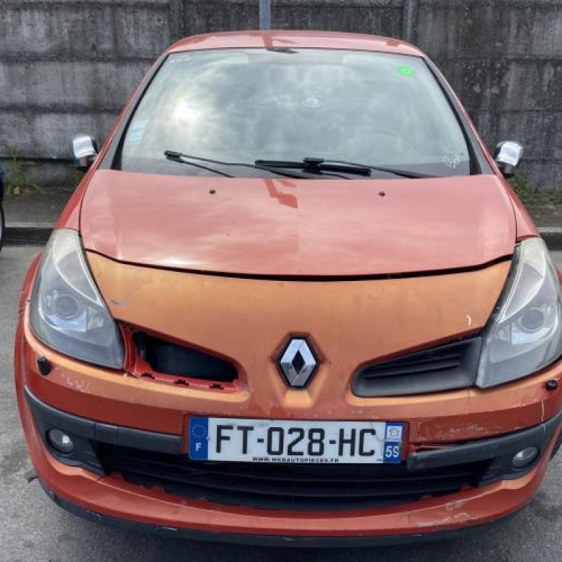 Porte arriere droit RENAULT CLIO 3 Photo n°13