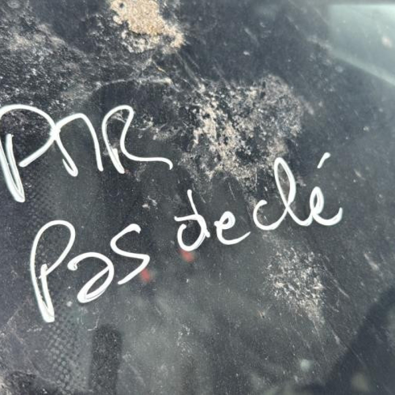 Poignee porte avant gauche VOLKSWAGEN GOLF 4 Photo n°13