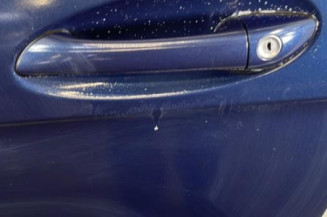 Porte avant gauche MERCEDES CLASSE A 169