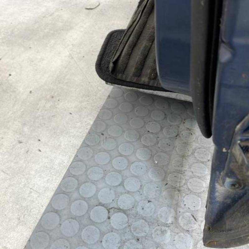 Porte avant gauche MERCEDES CLASSE A 169 Photo n°5